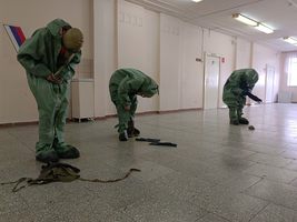 �����������